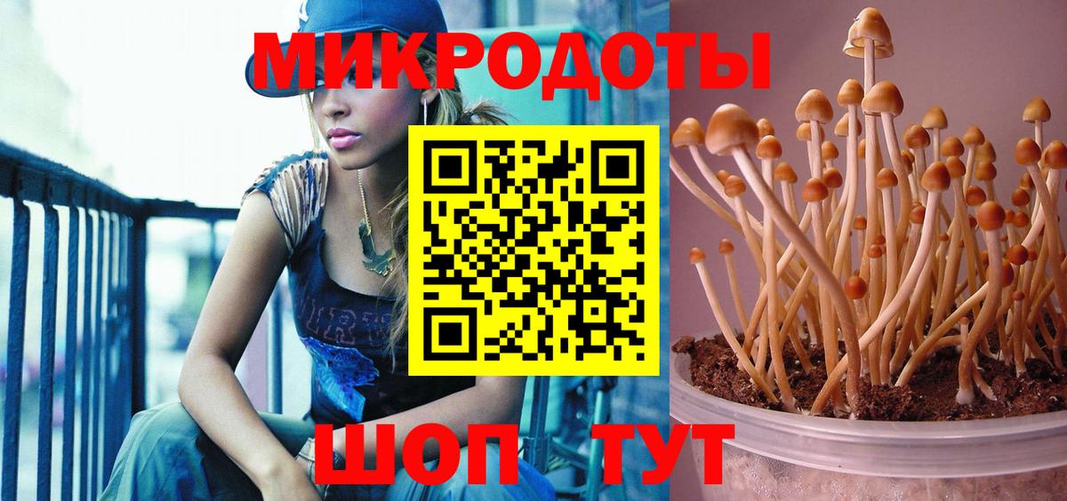 Галлюциногенные грибы мицелий  Вход с VPN  Псилоцибиновые грибы GOLDEN TEACHER  Назарово 
